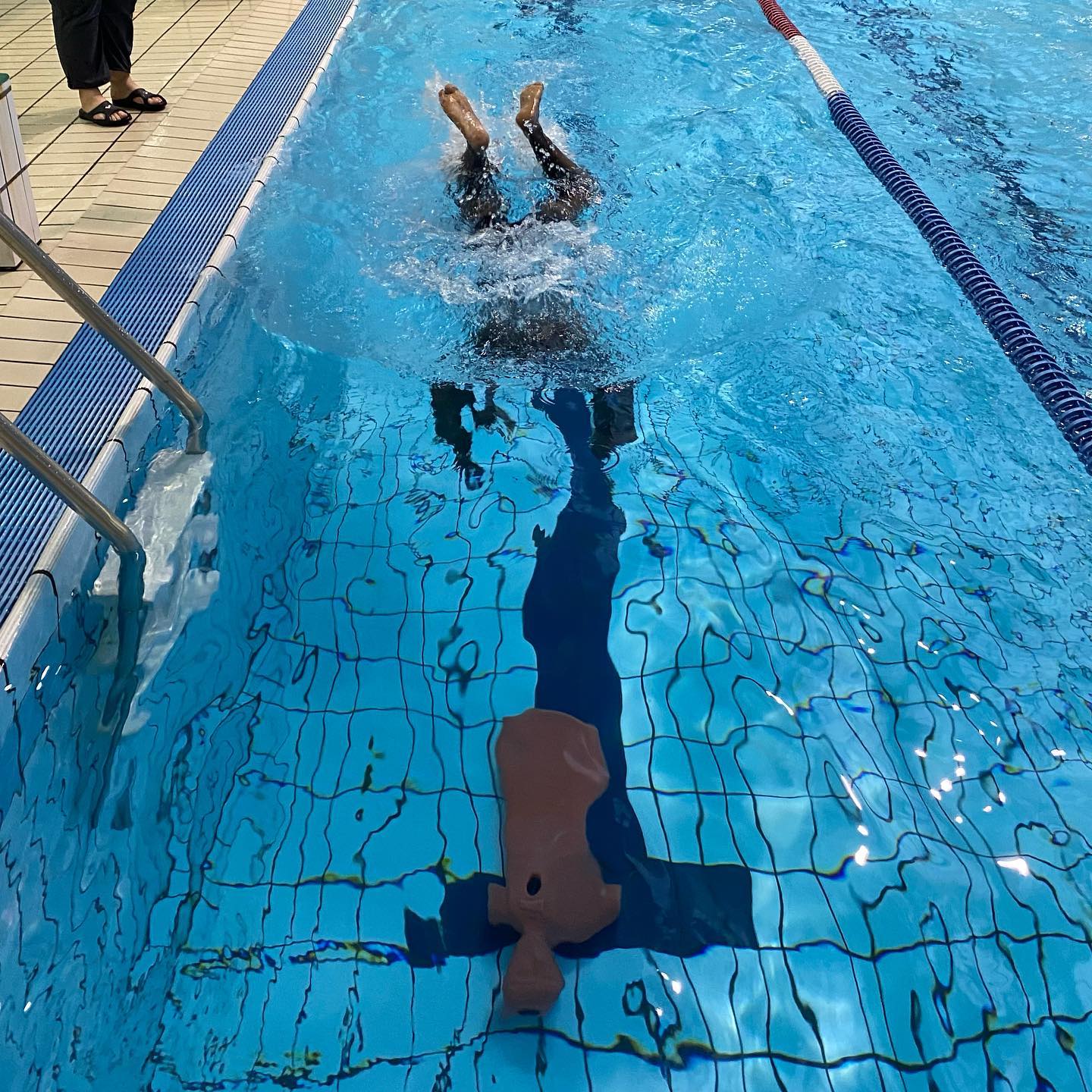 Vous souhaitez devenir Surveillant de Baignade dans les centres de vacances et a…