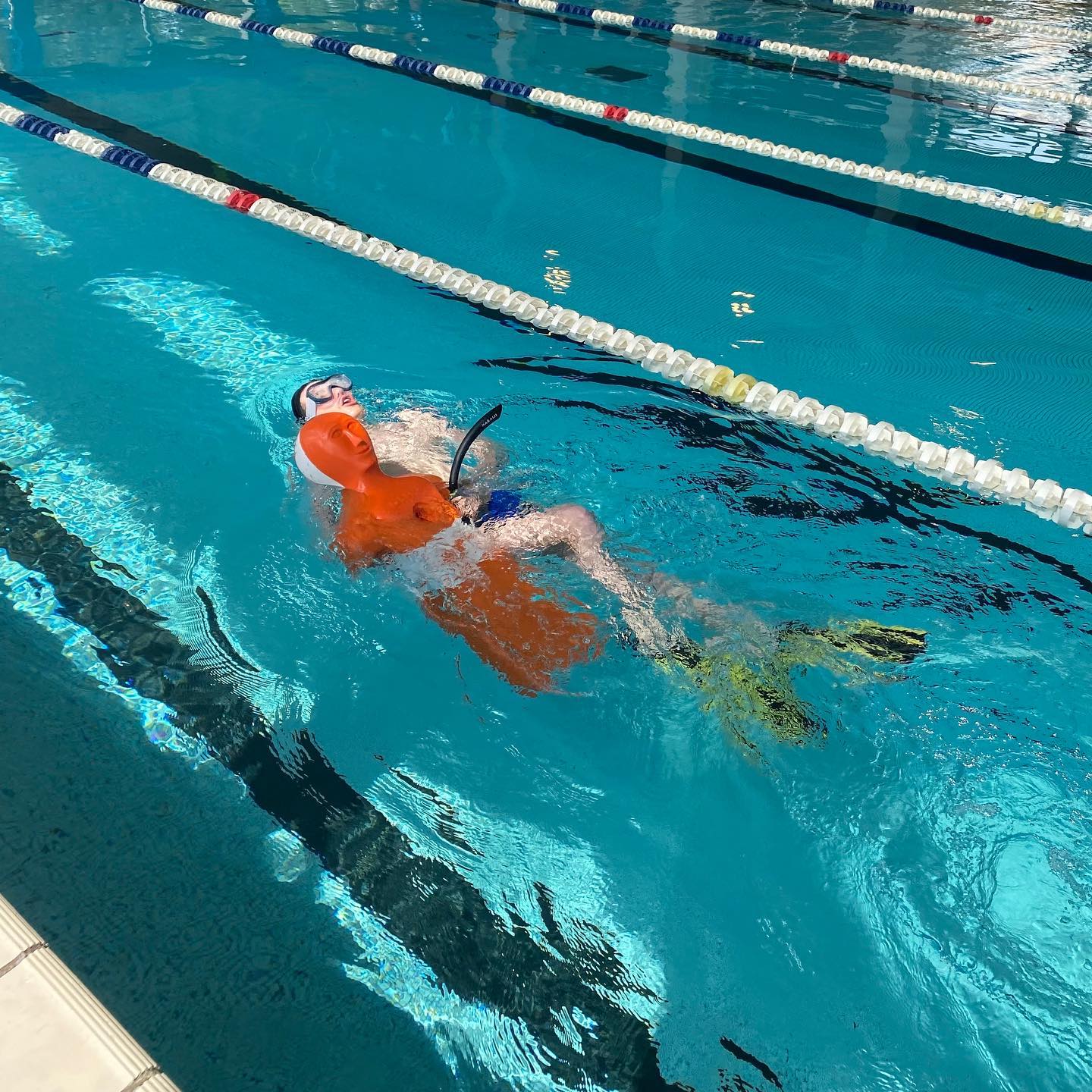 Débutez l’année en décrochant votre nouveau diplôme aquatique ! Celui-ci vous permettra de travailler en milieu aquatiq…