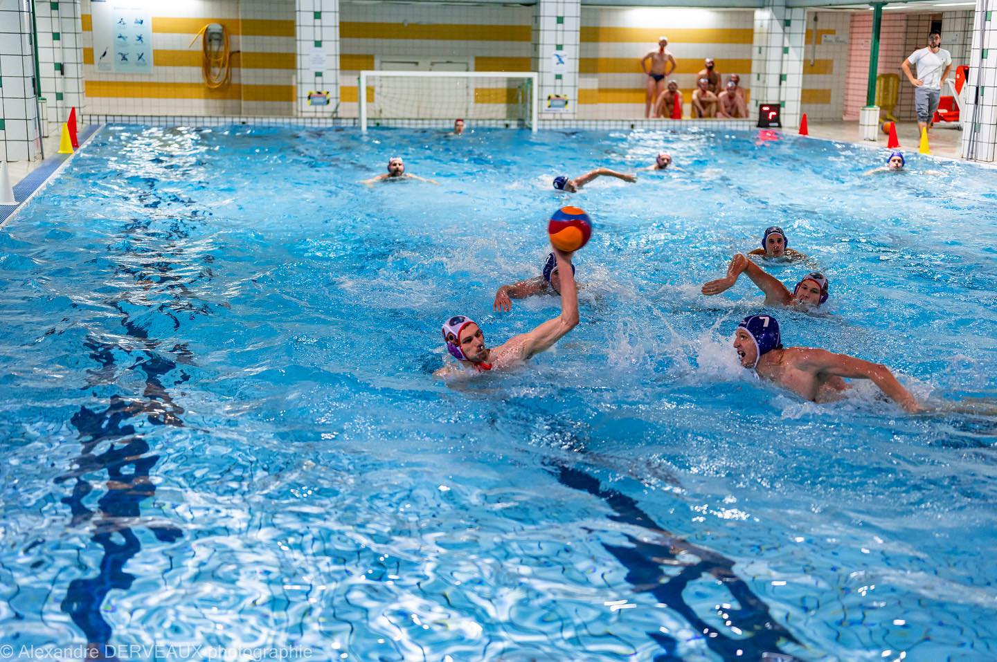 Quelques photos de notre section Water-polo prises par le talentueux Alexandre Derveaux, poloïste a l’AMNS  @alexandred….